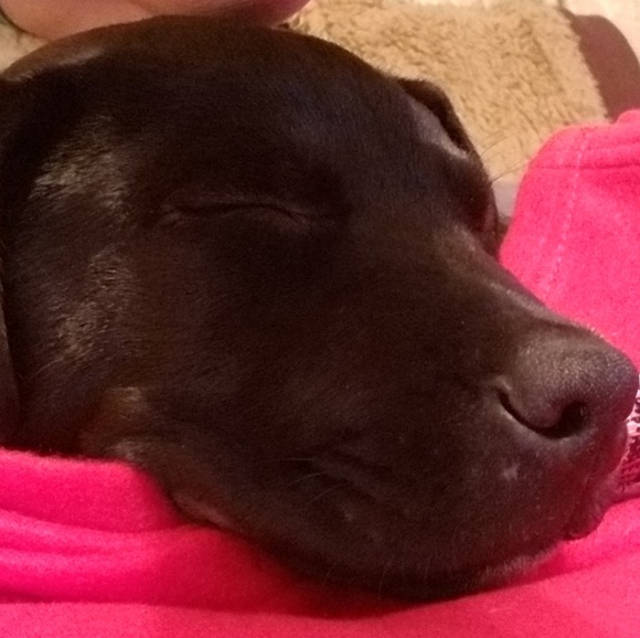 Meet your Posher, Jennifer - Picture 1 of 1